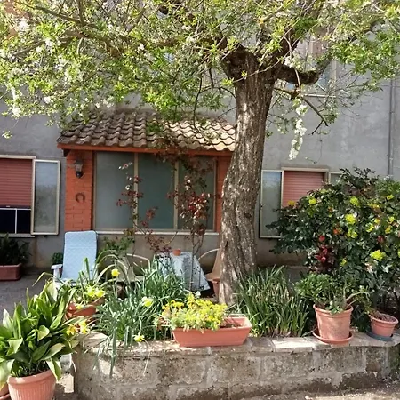 Nelle Campagne Bagnoresi * Bagnoregio